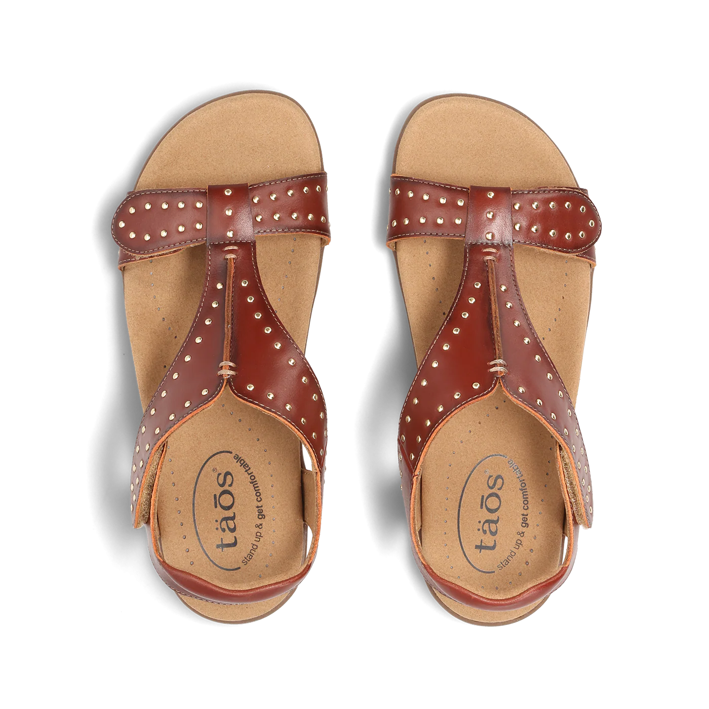 Show Stopper - Image 5