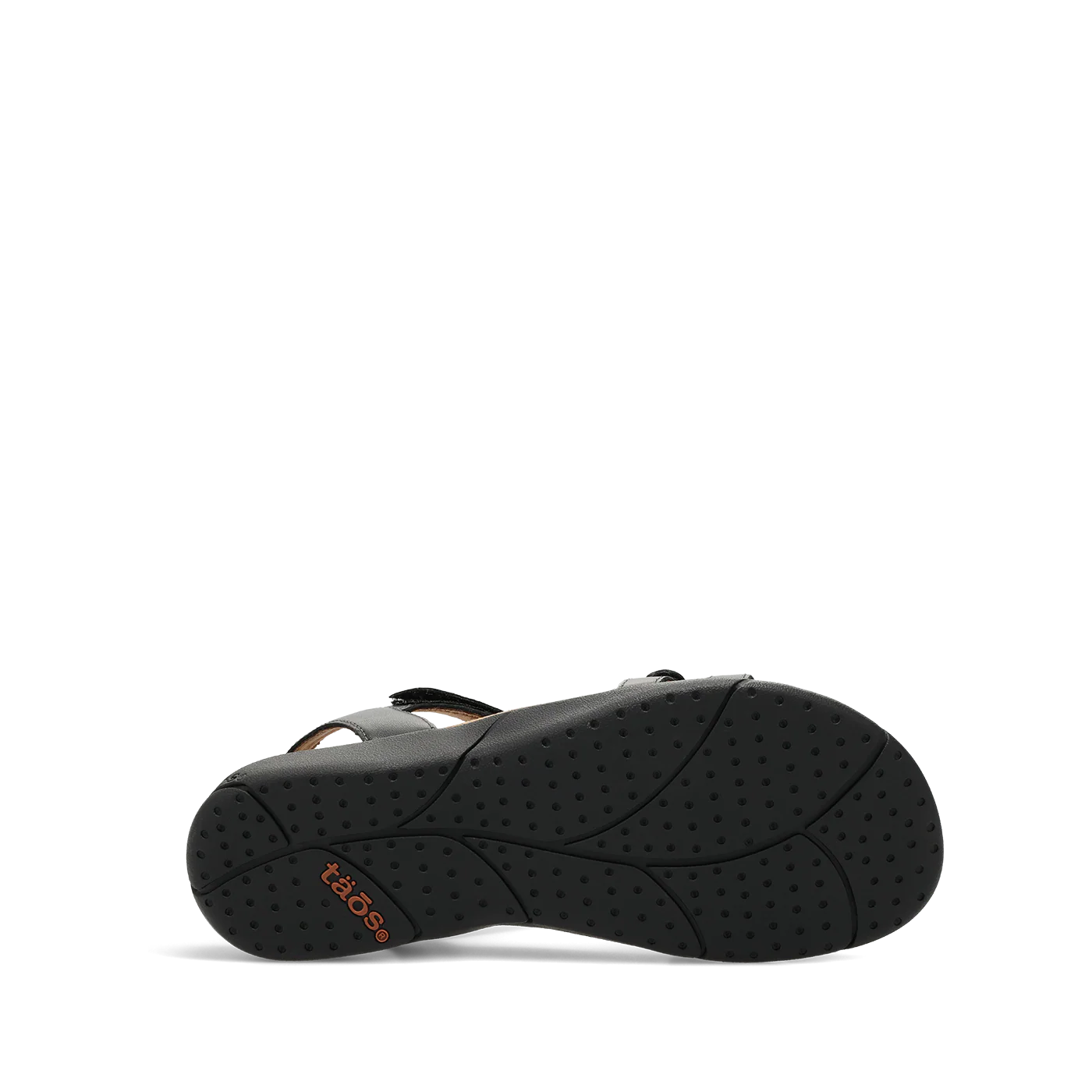 Trophy 2 - Image 5