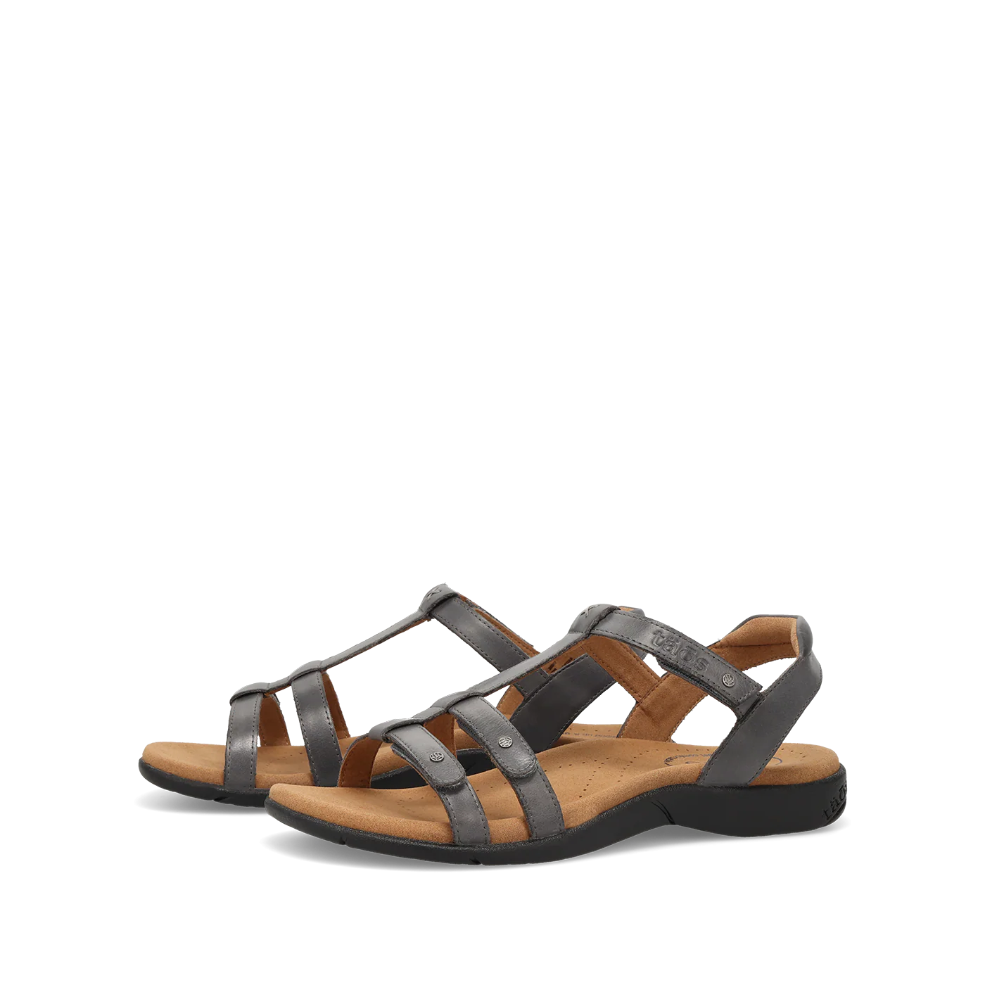Trophy 2 - Image 7