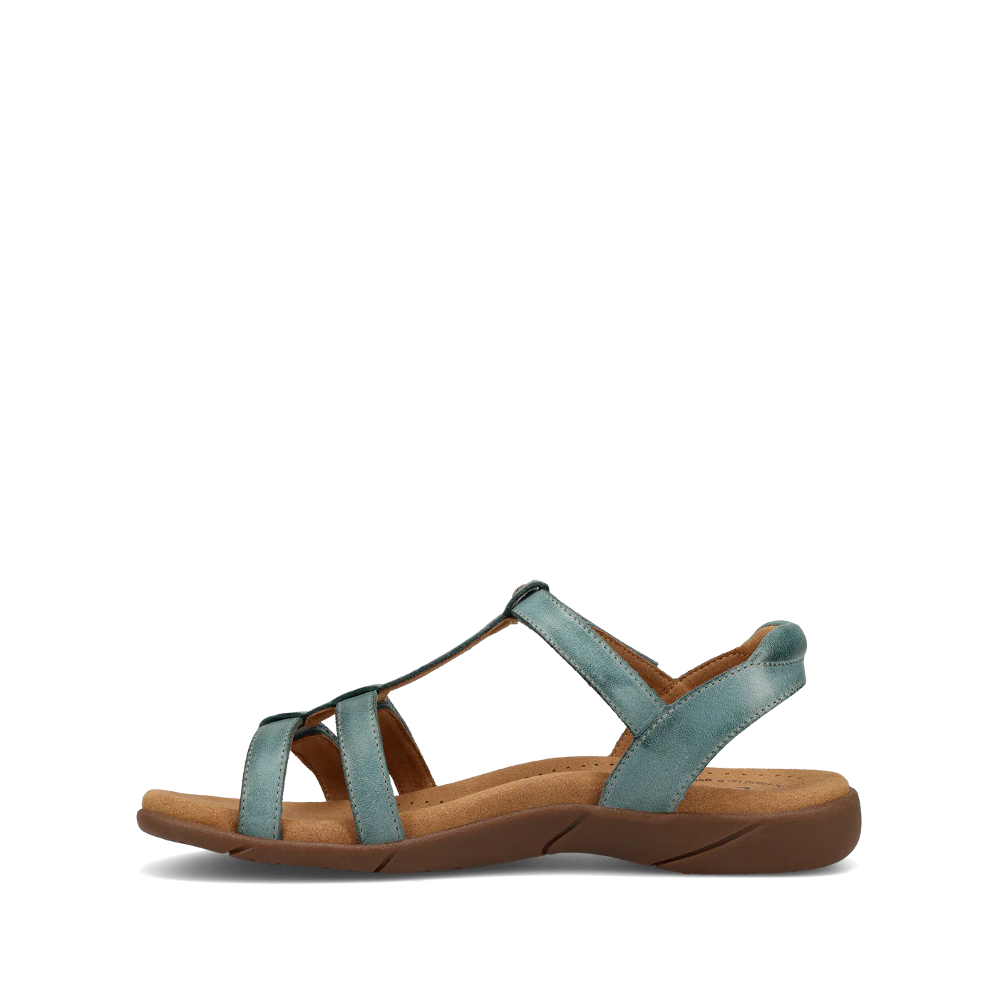 Trophy 2 - Image 4